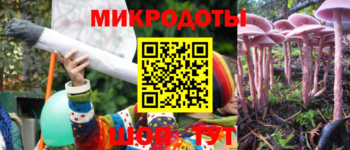 Псилоцибиновые грибы прущие грибы  даркнет сайт  Хабаровск  Вход с VPN  Галлюциногенные грибы MAGIC MUSHROOMS 