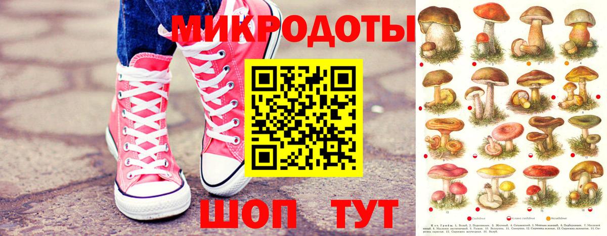 Галлюциногенные грибы GOLDEN TEACHER Хабаровск